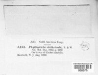 Image Associated With the Occurence